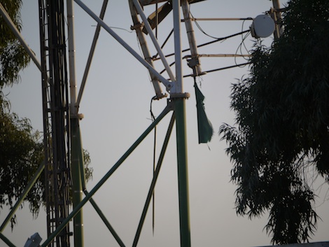 Greenflag