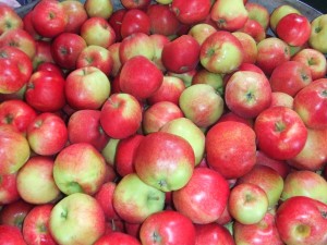 apples!