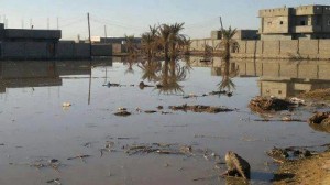 279b-septic tank leak in Sabha-311212