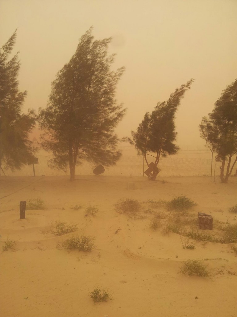 Sand Storm in Gialo