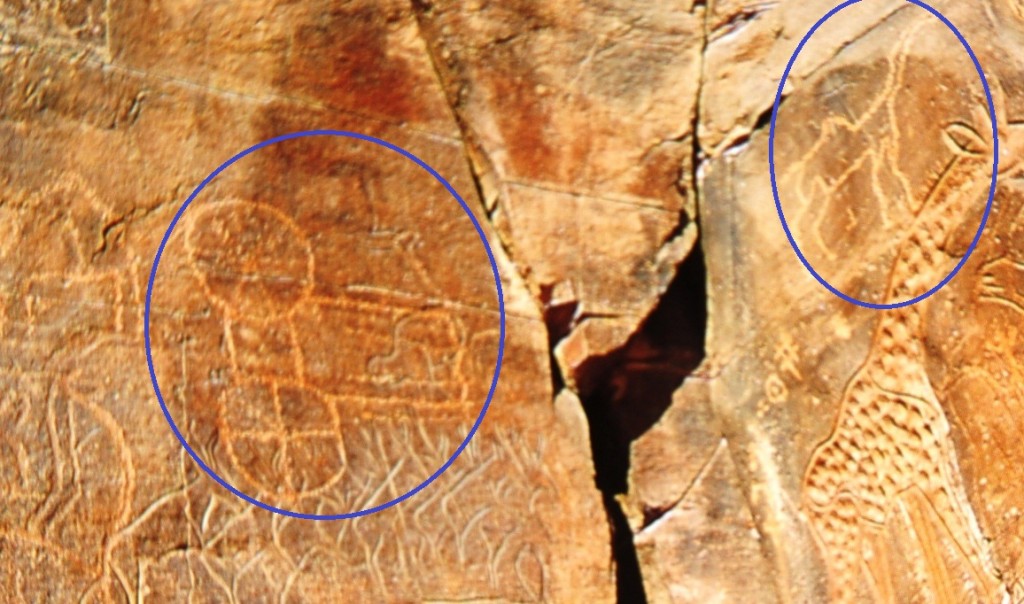 Messak Fig 7 right