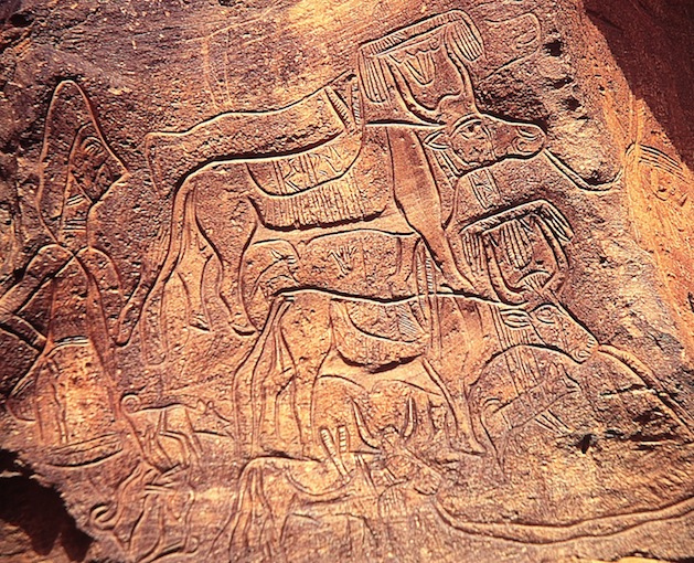 Messak Fig.6