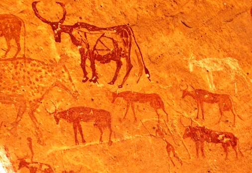Figure 3:  One of the many beautiful and detailed paintings in the Tadrart Akakus World Heritage site. A cattle herd and a herder are detailed in the painting. Prof. F. Mori has stated that Tadrart Akakus undoubtedly represents the main centre for the prehistory of Libya.