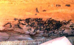 Figure 8: A completely vandalized site with several paintings which go back thousands of years in history. The vandal was determined to totally destroy this large site and he had all the time he needed to do so without being caught.