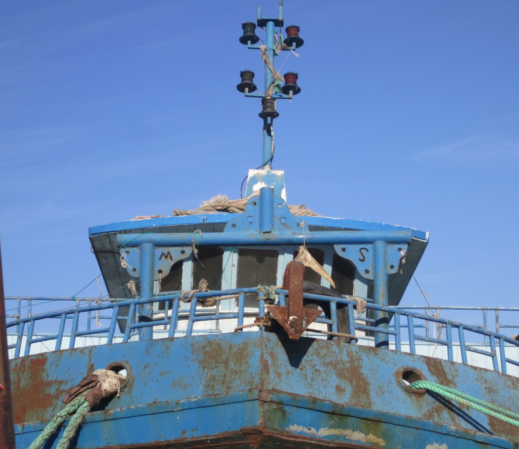 Libya's modest fishing fleet also need to be updated (Photo: Tom Westcott, Libya Herald)
