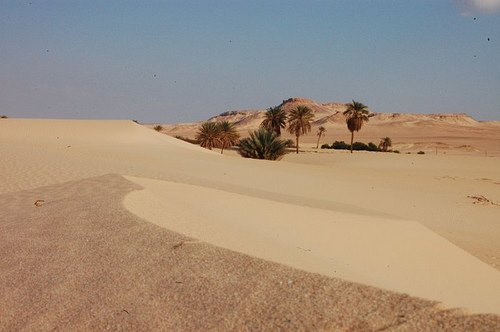 The desert surrounding Umm Aranib