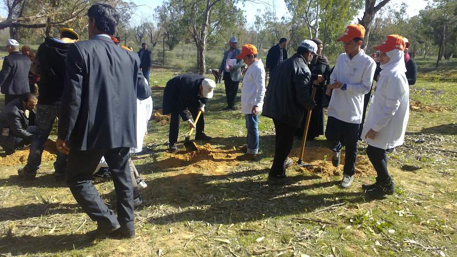 Members of the Friends of Trees get stuck in planting saplings (Photo: Taziz Hasairi, Libya Herald)