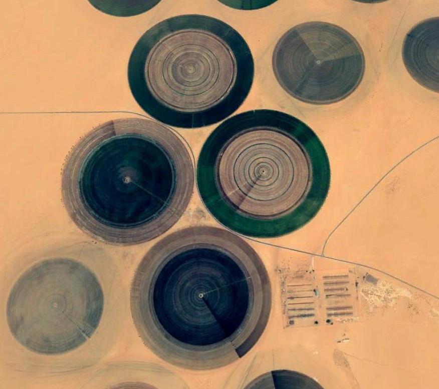 Figure 4:  A satellite image of the agriculture project in Al Kufra, functioning thanks to the fossil water resources available in the desert area. These resources which were discovered since the  mid-1960s, are now being tapped not only for agriculture purposes but also are part of the Man-Made River, where water is piped toward the coastal towns and cities in the north.