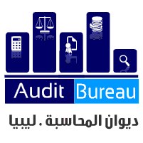The Audit Bureau's 2013 report highlights numerous failings by the Ali Zeidan government, including giving poor value for money to the Libyan public (Graphic: Audit Bureau).
