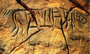 A domesticated bovid engraving with deep incisions in Messak Sattafet. This engraving has deteriorated as a result of natural weathering and erosion (note the surface weathering and the deep joints that are breaking the engraving).  Unless these valuable art pieces are repaired straightaway many of them will be lost forever (photo: courtesy of R. and G. Lutz). 