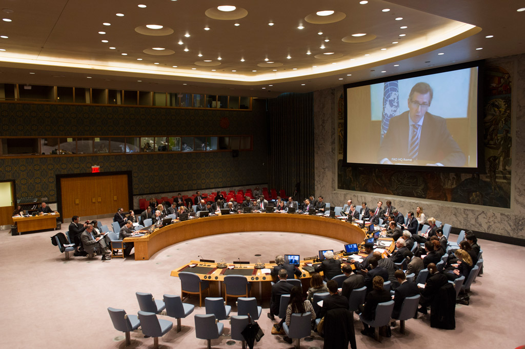 Libya's crisis is "festering" Leon tells Security Council in video conference (Photo: UN)