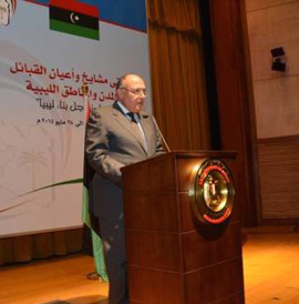 Shoukry opens tribal conference