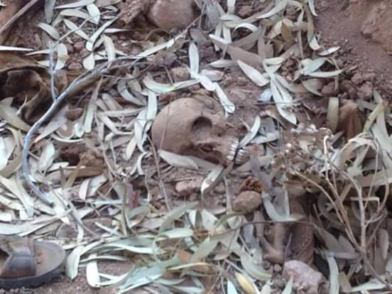 Bodies found near Derna (Photo:Social media)