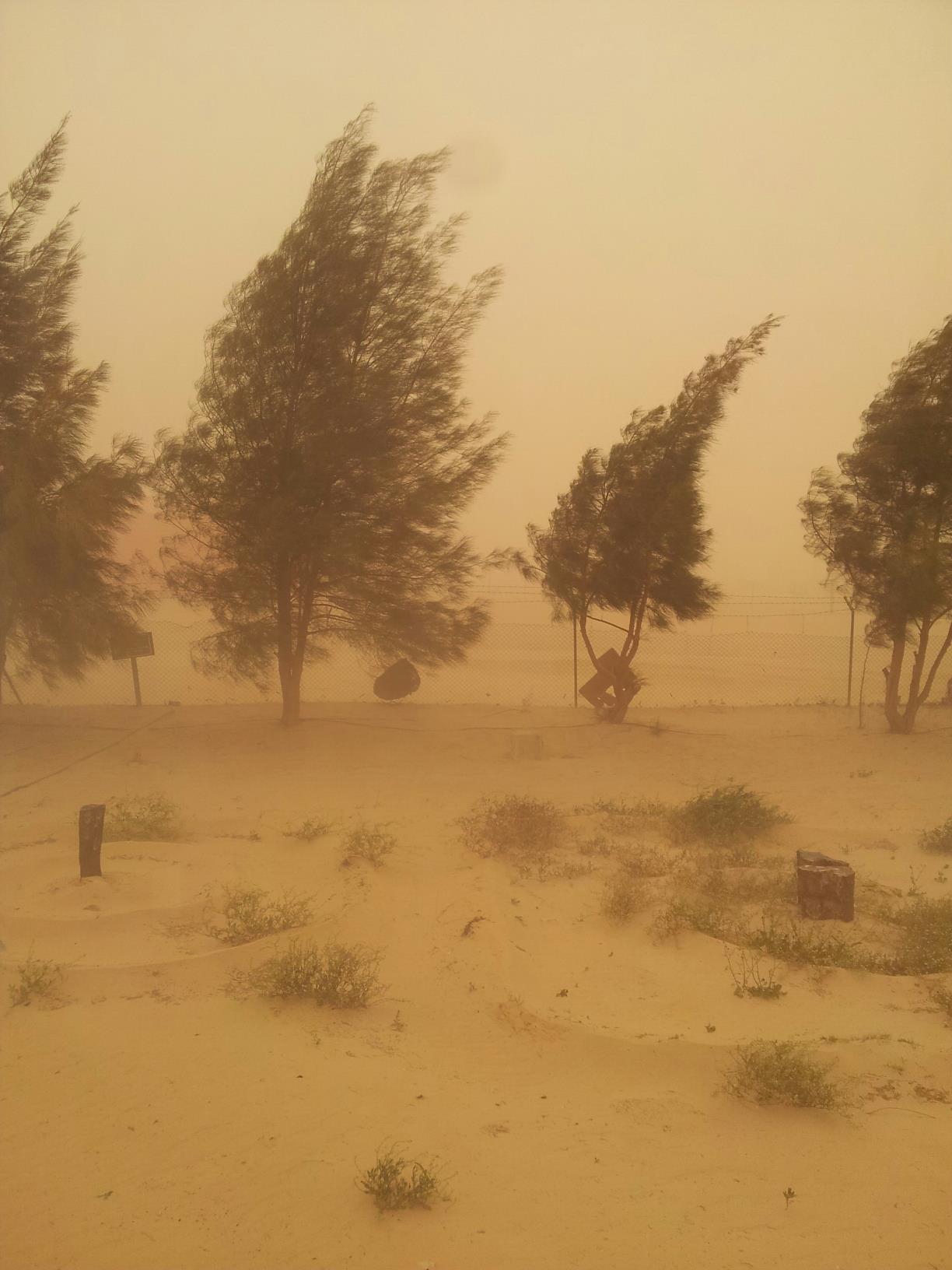 sand storm in gialo estate for rent