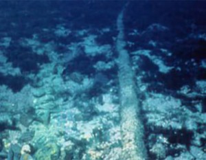A sub-sea cable such as that damaged on Friday (stock photo)