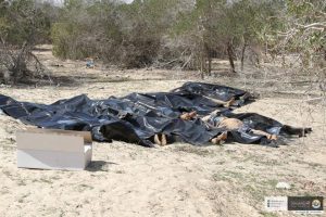 The migrants found buried in a Sabratha wood (Photo: social media)