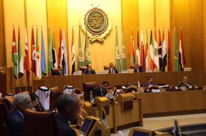 Ahmed Maetig at the Arab League's meeting on youth and sport (Photo: Ahmed Maetig Facebook page)