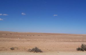 Libyan desert south of Tobruk-Ajdabiya road (Photo: Asaloft)